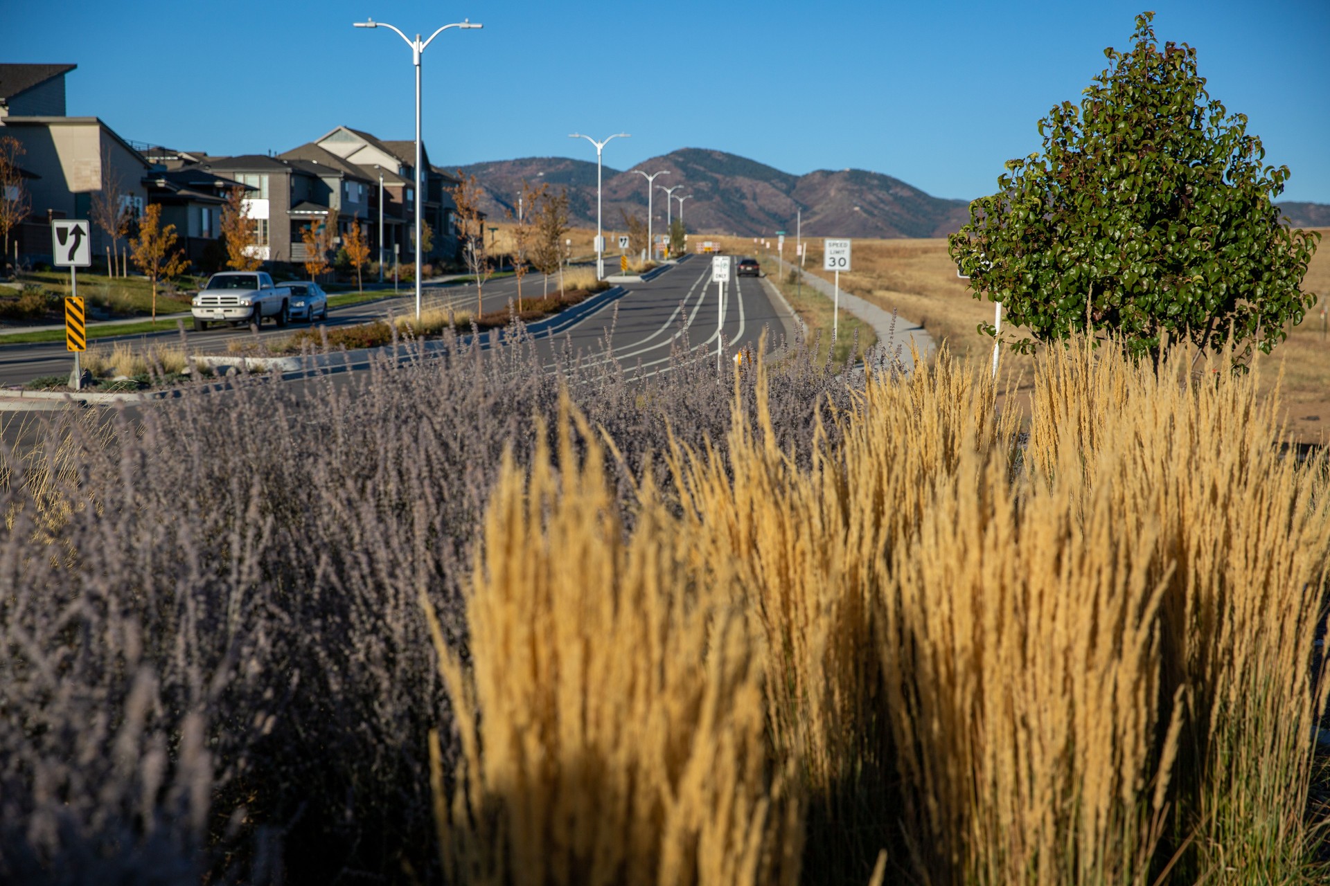 Fall colors and textures within the water conserving landscaping of a Denver planned community called Sterling Ranch